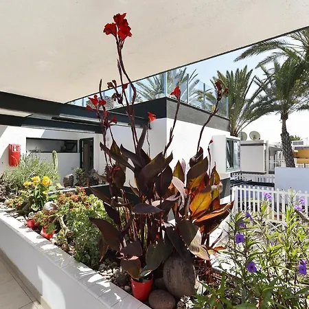 Apartamento Charca 1 By Villagrancanaria Maspalomas (Gran Canaria)